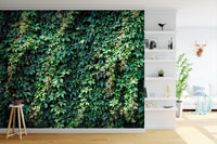 overgrowth climbing ivy leaves nature wallpaper mural