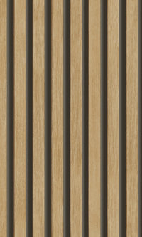 Ciara Brown Hermes Stripes A63602