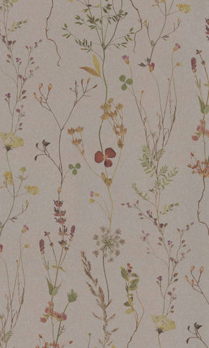 Botanical Brown Wildflower 221340