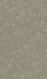 Belize Green Plaster Uni BZ1006