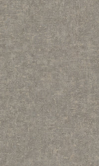 Belize Grey Plaster Uni BZ1003