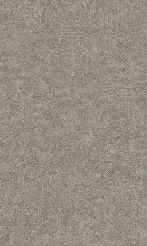 Belize Grey Plaster Uni BZ1003