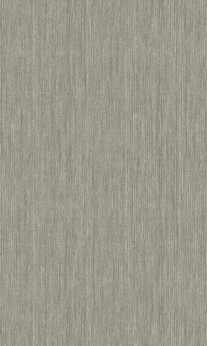 Brazil Grey Rafia BA26014