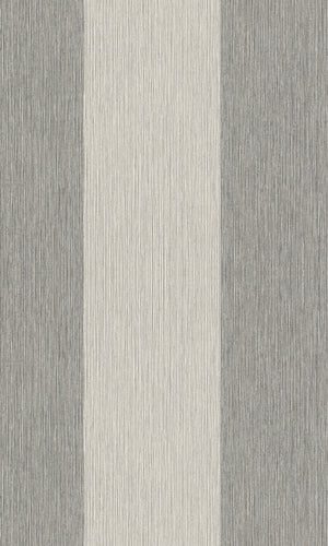 Perfect V1 Grey Simple Elegant Stripe 844009