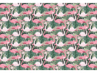 Thuraya Nebula Pink Pelicans Pink MA704-TN
