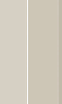 Thuraya Nebula Solid Colors Brown MB1746