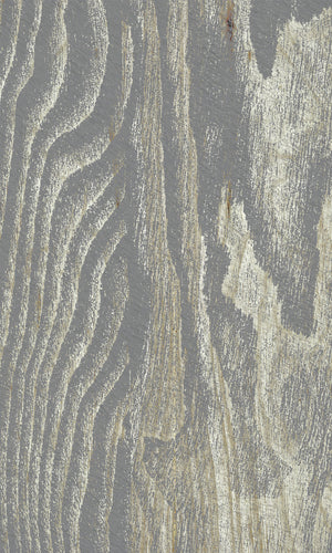 Thuraya Nebula The Beauty of Wood Gray MS1153-TN