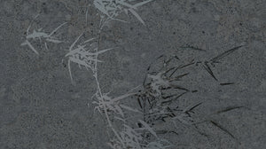 Muance Harmony Hues Charcoal MU15006