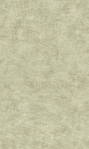 Herbarium Misty Green Pampas Plain HE27205