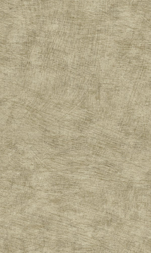 Herbarium Olive Grey Pampas Plain HE27207