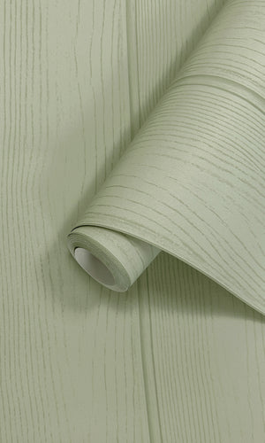 Adventure Awaits Tongue & Groove Sage 13990