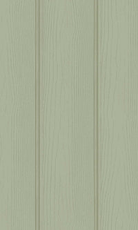 Adventure Awaits Tongue & Groove Sage 13990