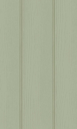 Adventure Awaits Tongue & Groove Sage 13990