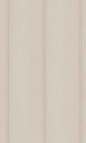 Adventure Awaits Tongue & Groove Beige 13991