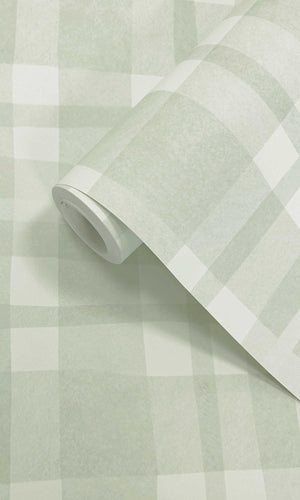 Adventure Awaits Ivy Plaid Sage 14000