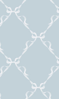 Adventure Awaits Tied With a Bow Sky Blue 14030