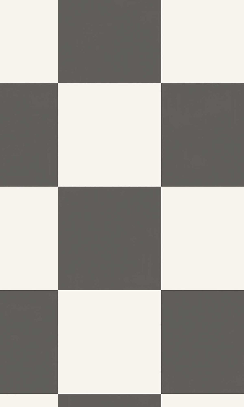 Adventure Awaits Check This Out! Charcoal 14040