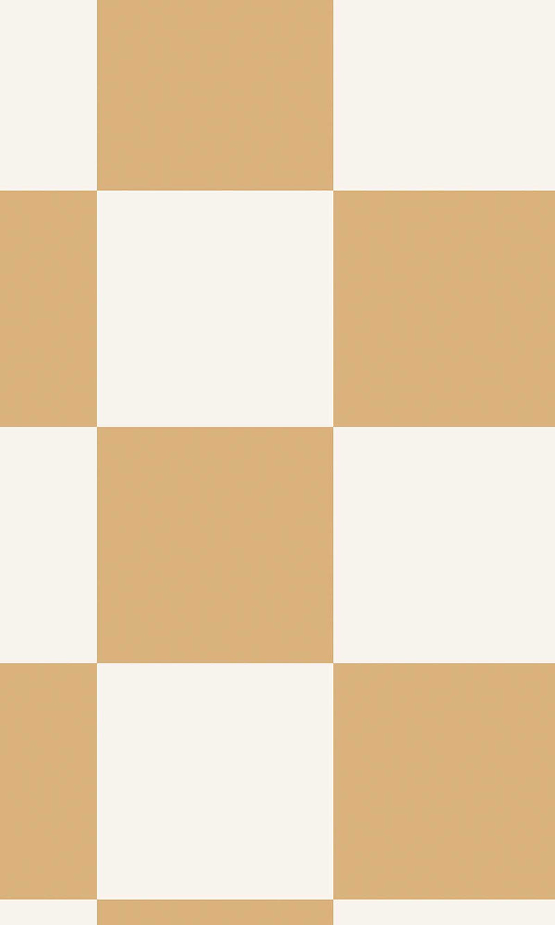 Adventure Awaits Check This Out! Orange 14042