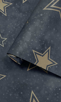 Adventure Awaits Stardust  Blue/Gold 14061