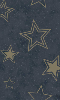 Adventure Awaits Stardust  Blue/Gold 14061