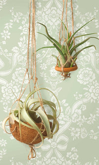 Imaginarium 3 Bow Damask Sage 14170