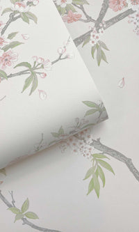 Imaginarium 3 Cherry Blossom Pink Cream 14213