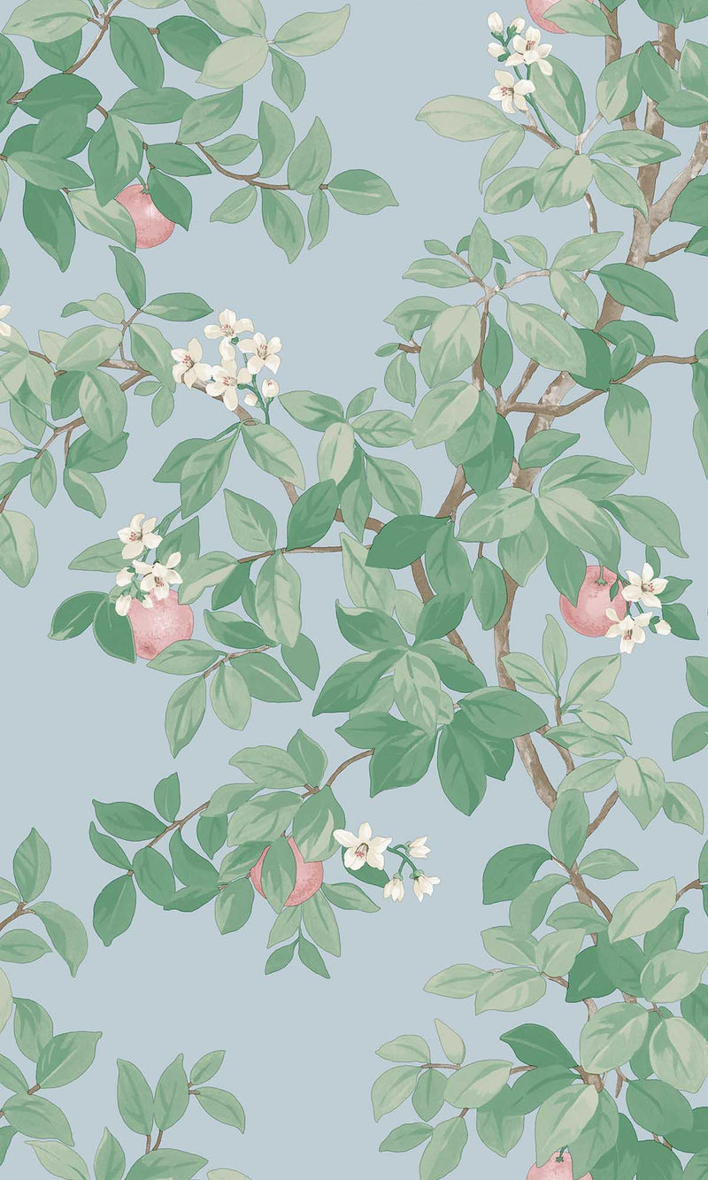 Imaginarium 3 Orange Tree Sky Blue 14243