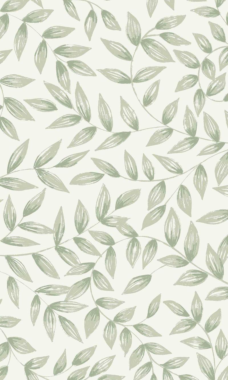 Inia Jessy Banksia Green A79202