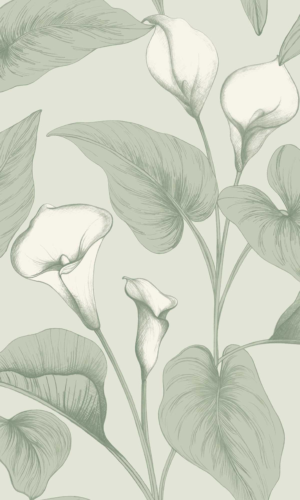 Inia Calla Coronado Moss A83601