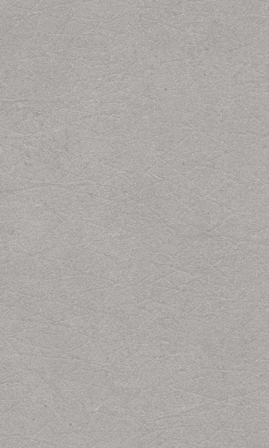 Hype Brigitte Flint Grey HY1106