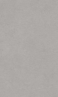 Hype Brigitte Flint Grey HY1106