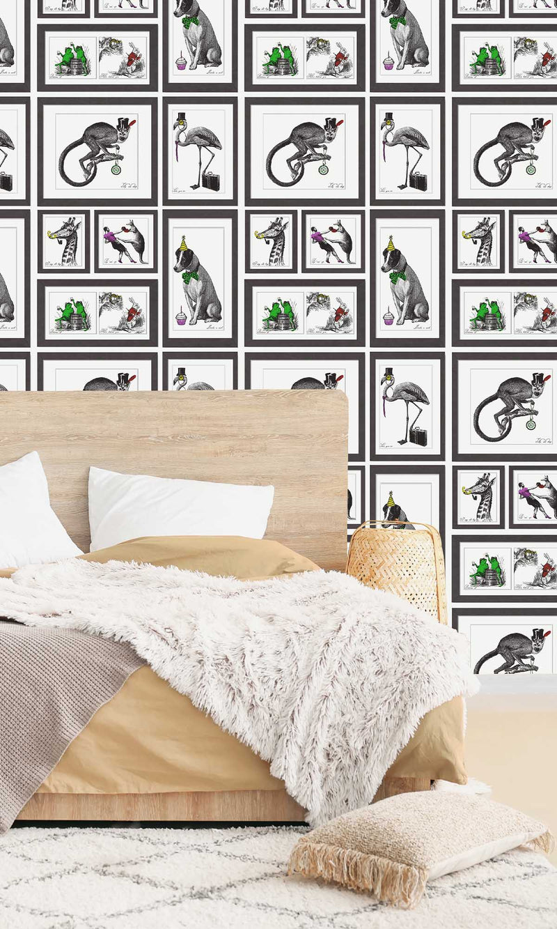 Imaginarium 3 Mad Dogs Multi 97921