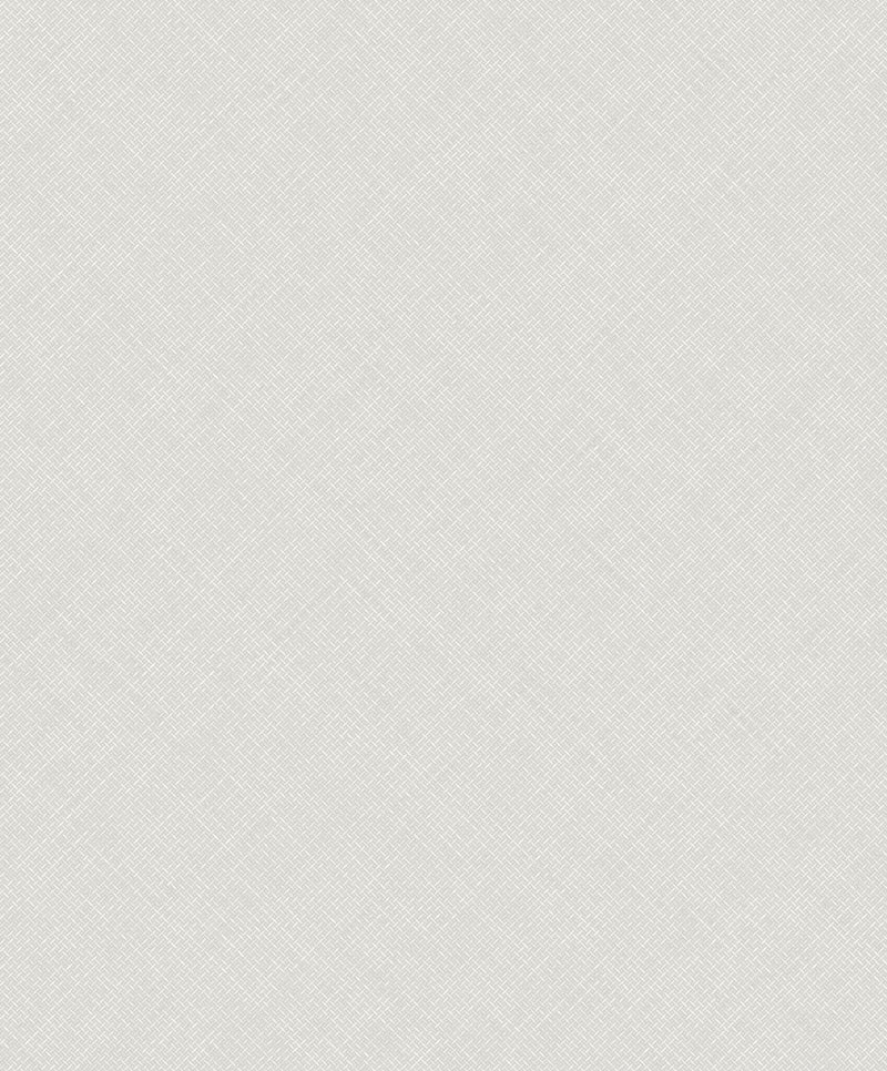 Arcadia Grey Happy Texture Plain A70801