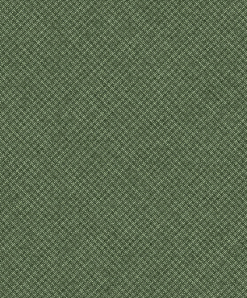 Arcadia Green Happy Texture Plain A70802