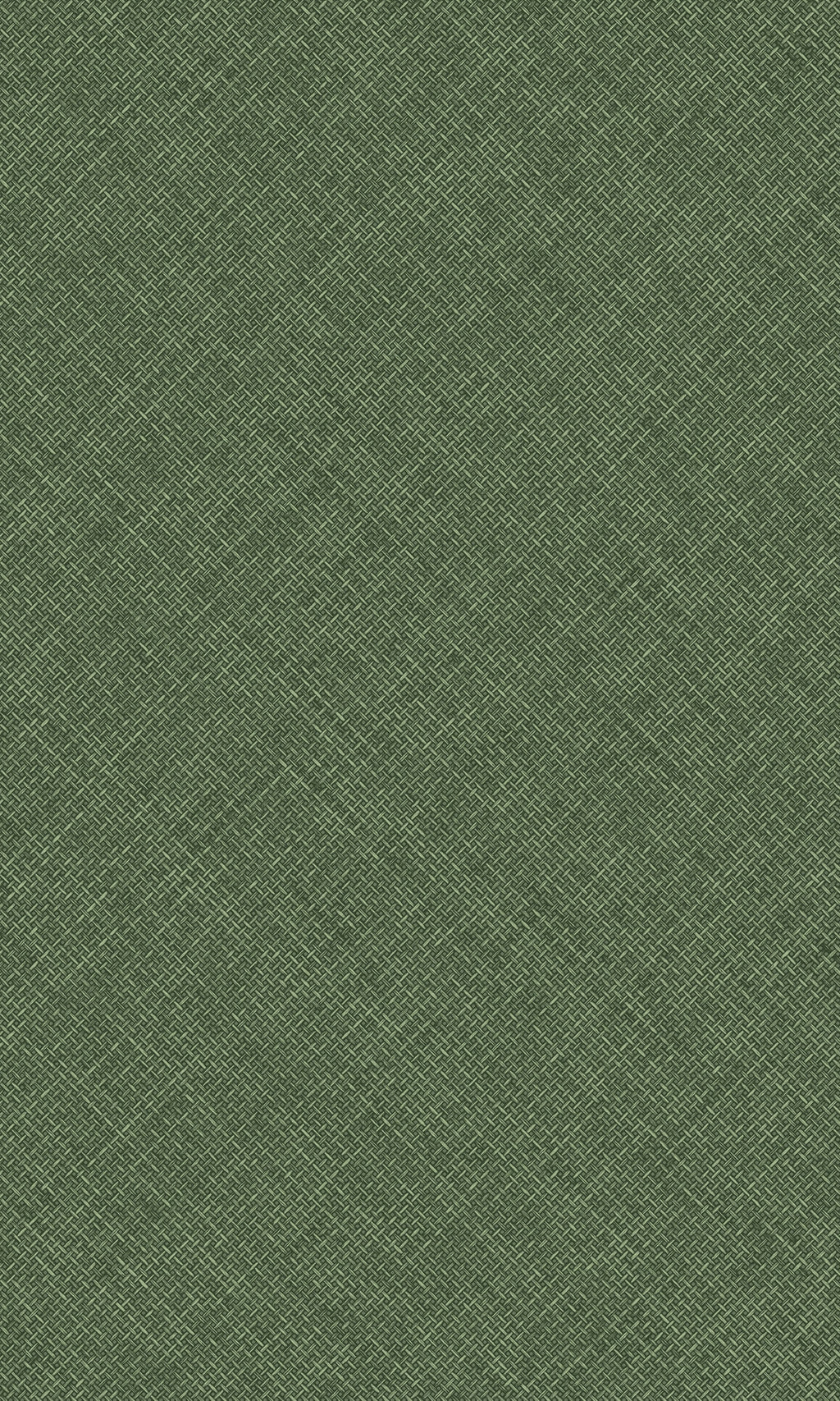 Arcadia Green Happy Texture Plain A70802