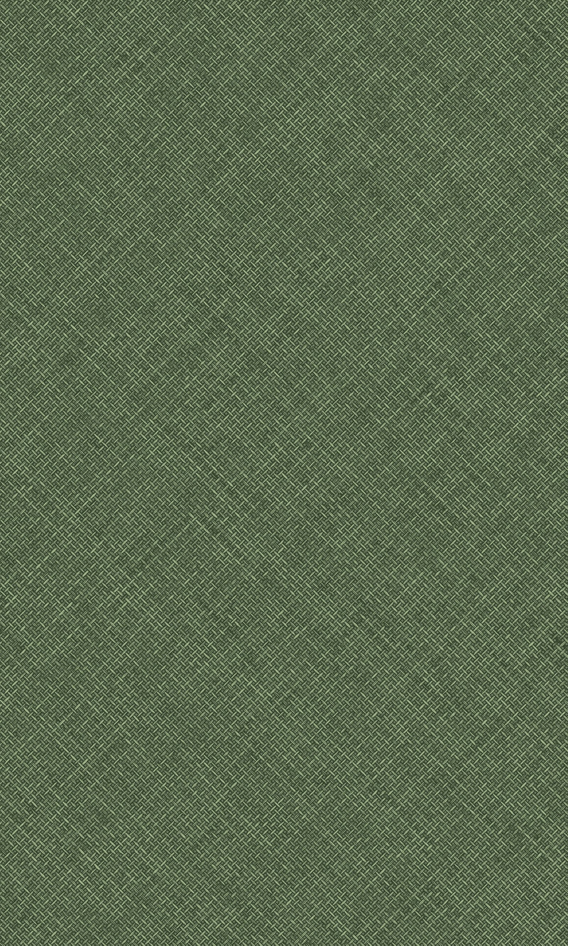 Arcadia Green Happy Texture Plain A70802