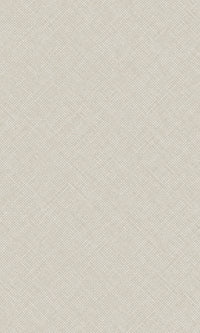 Arcadia Beige Happy Texture Plain A70803