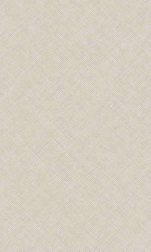 Arcadia Beige Happy Texture Plain A70803