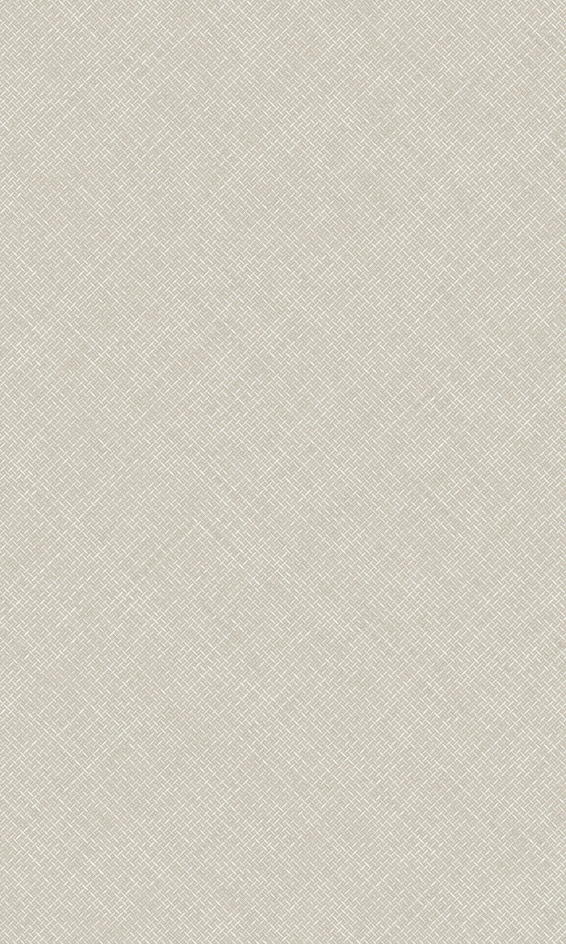 Arcadia Beige Happy Texture Plain A70803