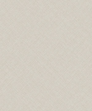 Arcadia Beige Happy Texture Plain A70803