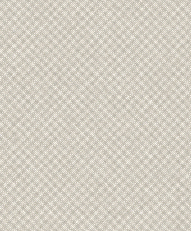 Arcadia Beige Happy Texture Plain A70803