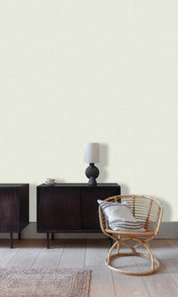 Arcadia Light Grey Solena-Plain A71002