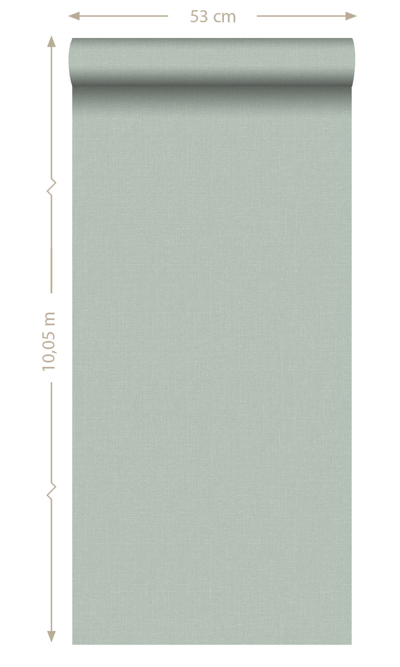 Origin Celadon Green Blush Linen Texture Plain 148740