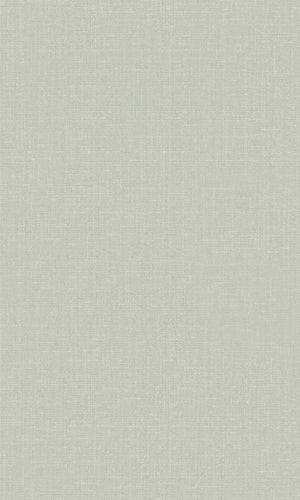 Origin Light Gray Blush Linen Texture Plain 148741