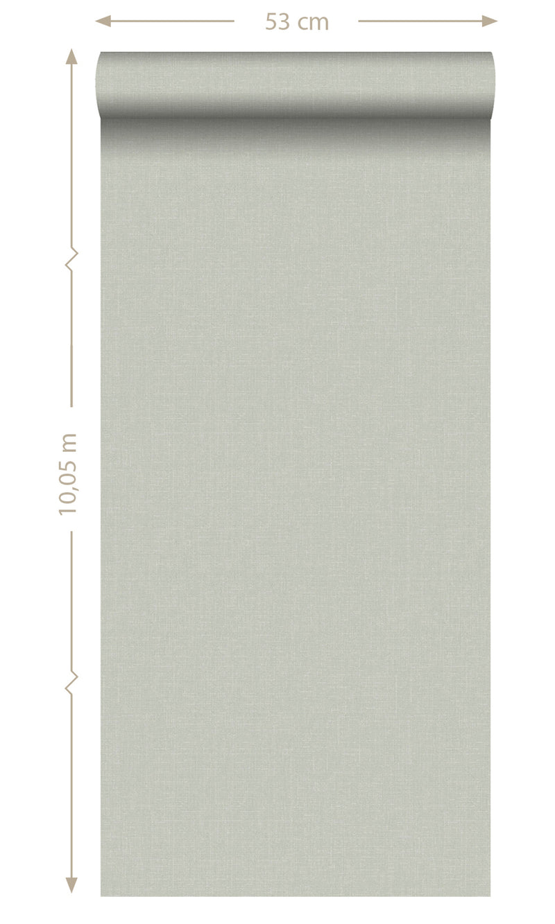 Origin Light Gray Blush Linen Texture Plain 148741