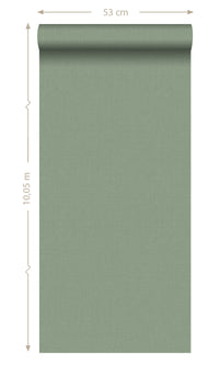 Origin Jade Green Blush Linen Texture Plain 148745