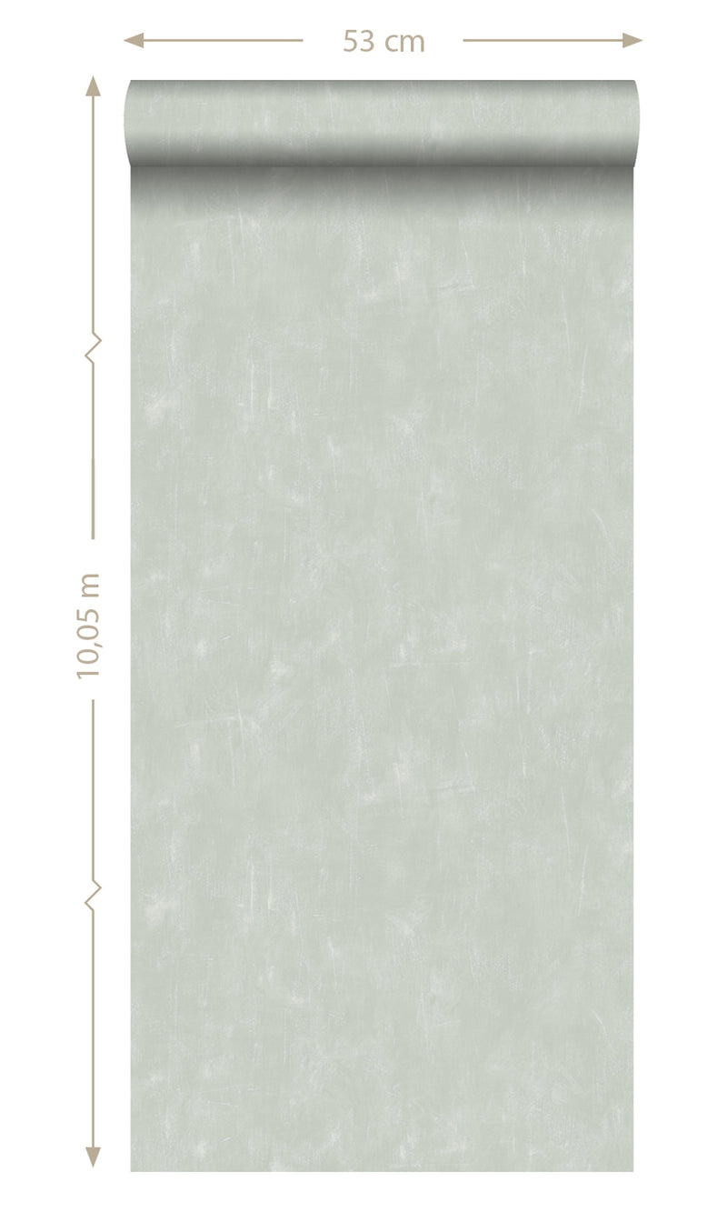 Origin Blush Celadon Green Plain With Painterly Effect 148721