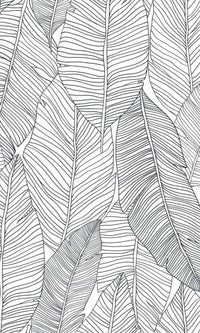 Origin Jungle Fever Black and White Pen Drawn Leaves 139011