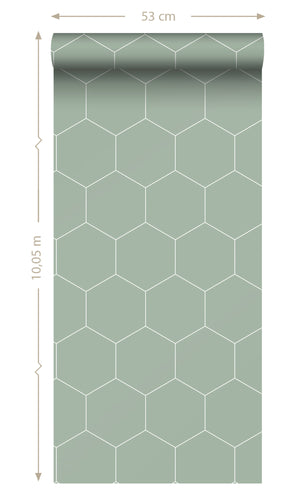 Origin Grayish Green and White Art Deco Honeycomb 139227