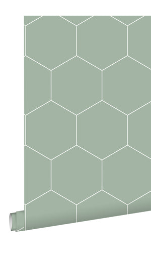 Origin Grayish Green and White Art Deco Honeycomb 139227